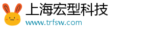 上海宏型科技